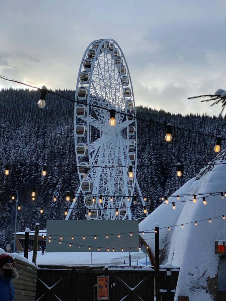 photo_2025-01-25_14-27-17