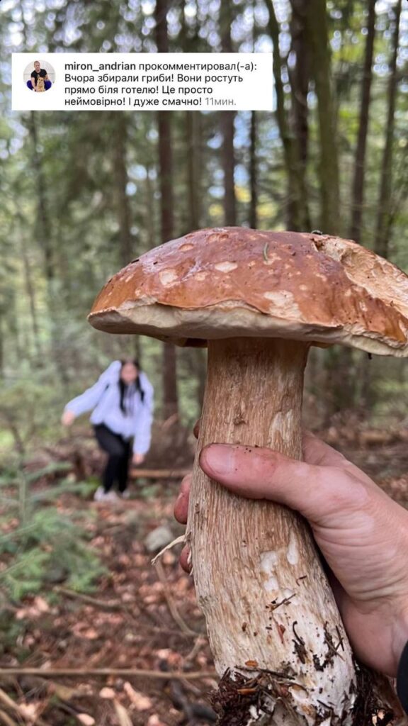 photo_2025-01-25_14-27-33