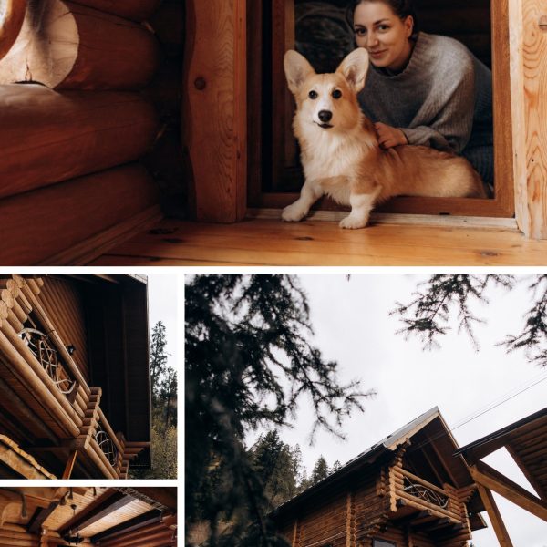 Brown Simple Grid Nature Photo Collage - 1