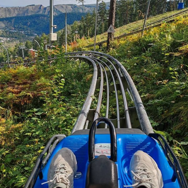 photo_2025-01-25_14-27-00