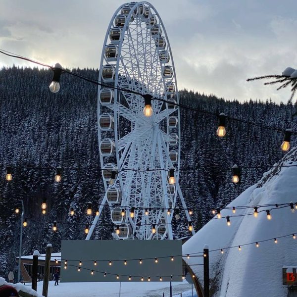 photo_2025-01-25_14-27-17