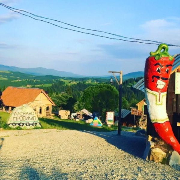 photo_2025-01-25_14-27-27