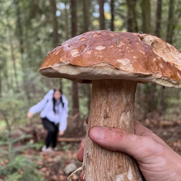 photo_2025-01-25_14-27-33