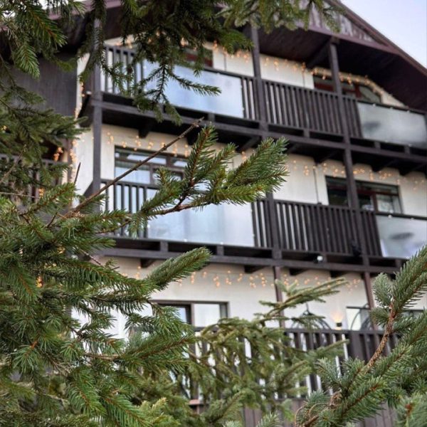 photo_2025-03-17_09-03-19